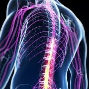 enferm neuromusculares